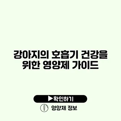 강아지의 호흡기 건강을 위한 영양제 가이드