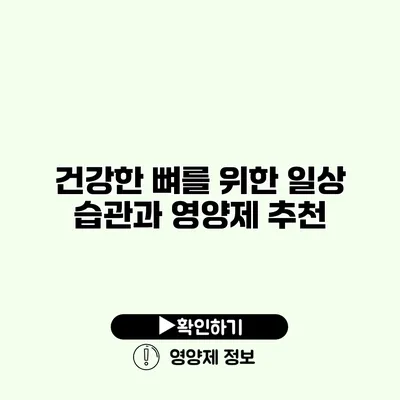 건강한 뼈를 위한 일상 습관과 영양제 추천