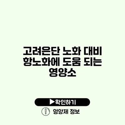 고려은단 노화 대비 항노화에 도움 되는 영양소