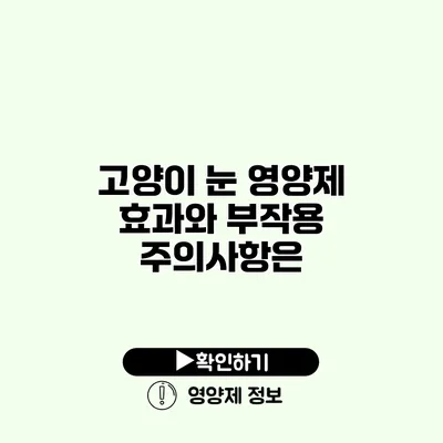 고양이 눈 영양제 효과와 부작용 주의사항은?