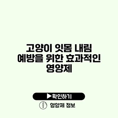 고양이 잇몸 내림 예방을 위한 효과적인 영양제