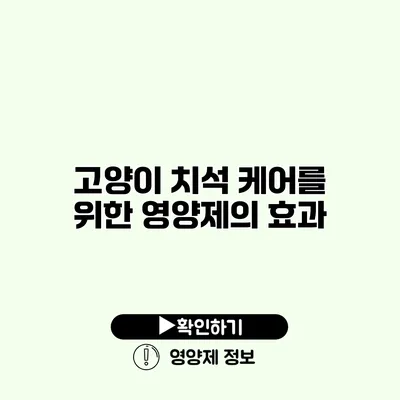 고양이 치석 케어를 위한 영양제의 효과