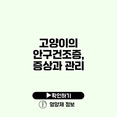 고양이의 안구건조증, 증상과 관리