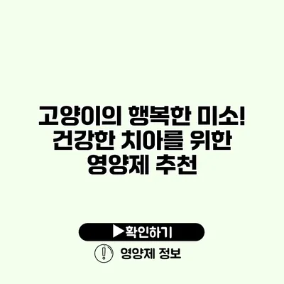 고양이의 행복한 미소! 건강한 치아를 위한 영양제 추천