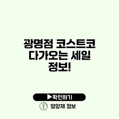 광명점 코스트코 다가오는 세일 정보!