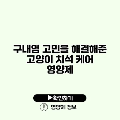 구내염 고민을 해결해준 고양이 치석 케어 영양제 구내염 고민을 해결해준 고양이 치석 케어 영양제