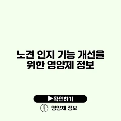 노견 인지 기능 개선을 위한 영양제 정보