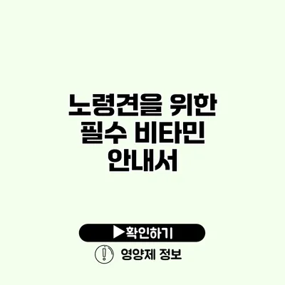 노령견을 위한 필수 비타민 안내서