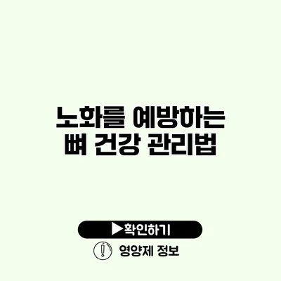노화를 예방하는 뼈 건강 관리법 노화를 예방하는 뼈 건강 관리법
