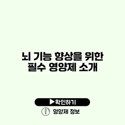 뇌 기능 향상을 위한 필수 영양제 소개
