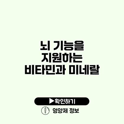 뇌 기능을 지원하는 비타민과 미네랄
