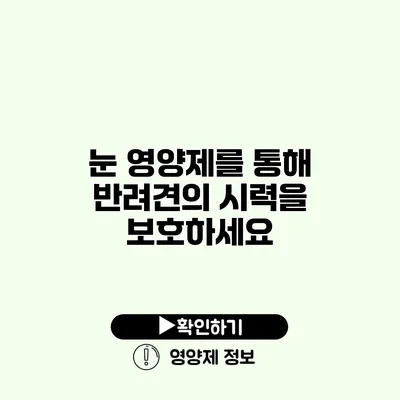 눈 영양제를 통해 반려견의 시력을 보호하세요 눈 영양제를 통해 반려견의 시력을 보호하세요