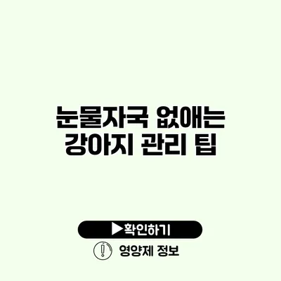 눈물자국 없애는 강아지 관리 팁