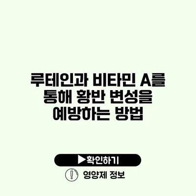 루테인과 비타민 A를 통해 황반 변성을 예방하는 방법