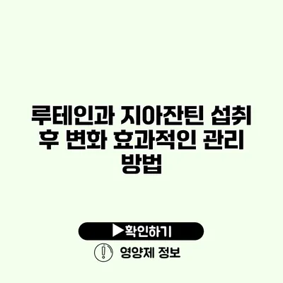 루테인과 지아잔틴 섭취 후 변화 효과적인 관리 방법