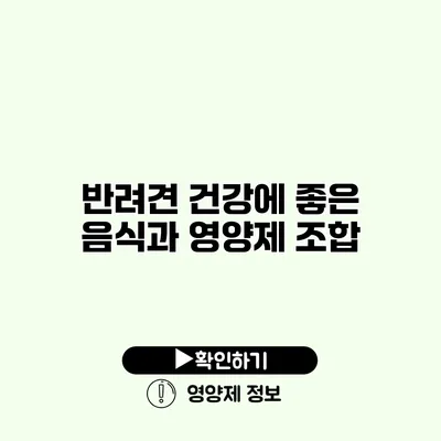 반려견 건강에 좋은 음식과 영양제 조합