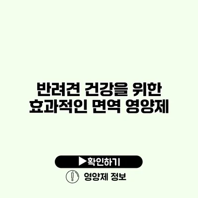 반려견 건강을 위한 효과적인 면역 영양제
