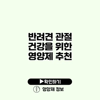 반려견 관절 건강을 위한 영양제 추천
