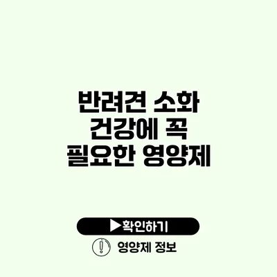 반려견 소화 건강에 꼭 필요한 영양제