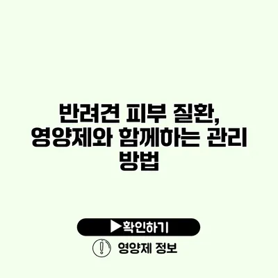 반려견 피부 질환, 영양제와 함께하는 관리 방법 반려견 피부 질환, 영양제와 함께하는 관리 방법