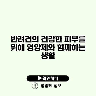 반려견의 건강한 피부를 위해 영양제와 함께하는 생활
