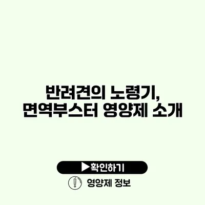반려견의 노령기, 면역부스터 영양제 소개