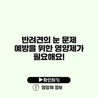 반려견의 눈 문제 예방을 위한 영양제가 필요해요!