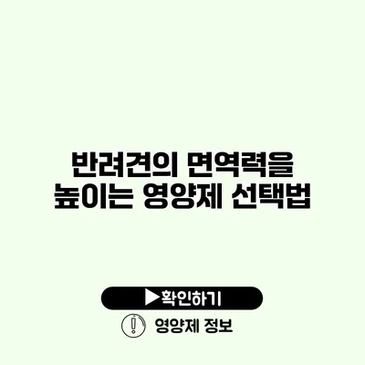 반려견의 면역력을 높이는 영양제 선택법