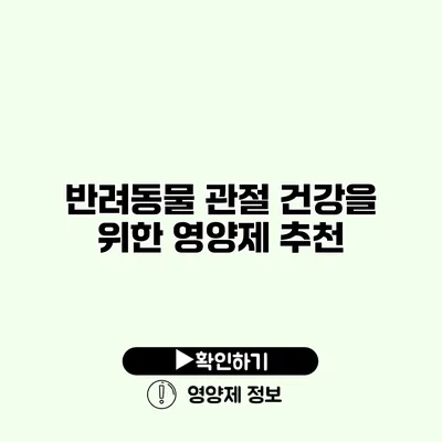 반려동물 관절 건강을 위한 영양제 추천