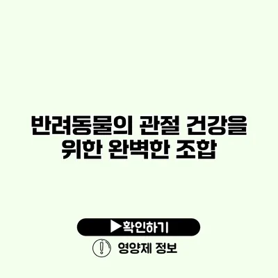 반려동물의 관절 건강을 위한 완벽한 조합