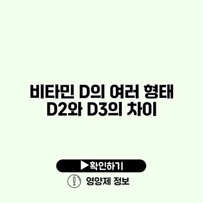 비타민 D의 여러 형태 D2와 D3의 차이