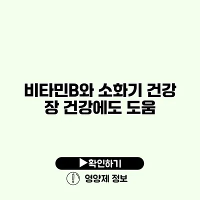 비타민B와 소화기 건강 장 건강에도 도움