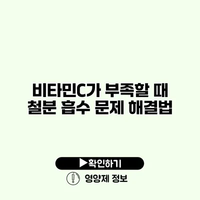 비타민C가 부족할 때 철분 흡수 문제 해결법