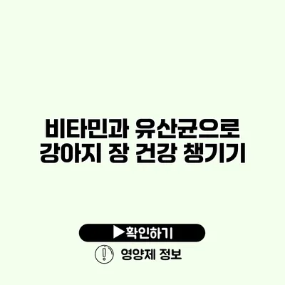 비타민과 유산균으로 강아지 장 건강 챙기기