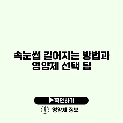 속눈썹 길어지는 방법과 영양제 선택 팁 속눈썹 길어지는 방법과 영양제 선택 팁