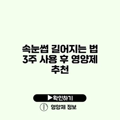 속눈썹 길어지는 법 3주 사용 후 영양제 추천