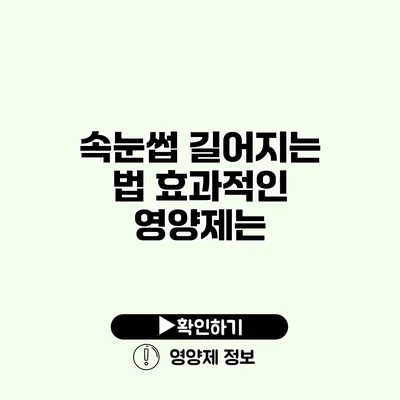 속눈썹 길어지는 법 효과적인 영양제는?