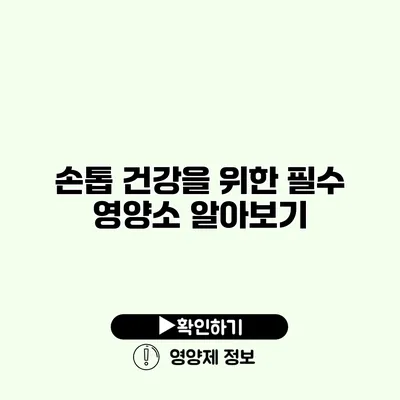 손톱 건강을 위한 필수 영양소 알아보기