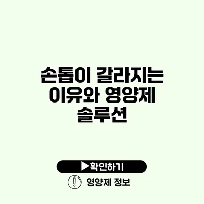 손톱이 갈라지는 이유와 영양제 솔루션
