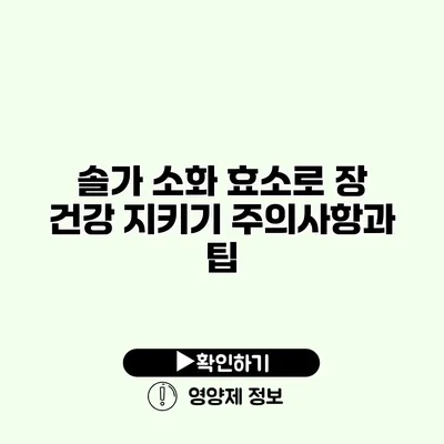 솔가 소화 효소로 장 건강 지키기 주의사항과 팁