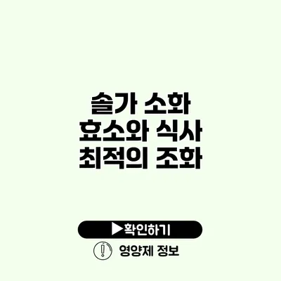 솔가 소화 효소와 식사 최적의 조화