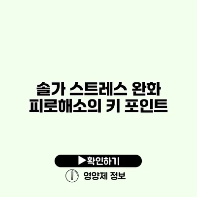 솔가 스트레스 완화 피로해소의 키 포인트