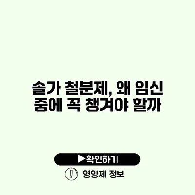 솔가 철분제, 왜 임신 중에 꼭 챙겨야 할까?