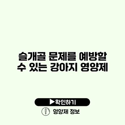 슬개골 문제를 예방할 수 있는 강아지 영양제