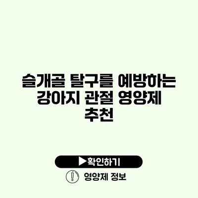 슬개골 탈구를 예방하는 강아지 관절 영양제 추천