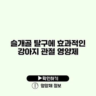 슬개골 탈구에 효과적인 강아지 관절 영양제