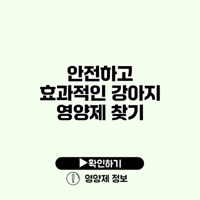 안전하고 효과적인 강아지 영양제 찾기