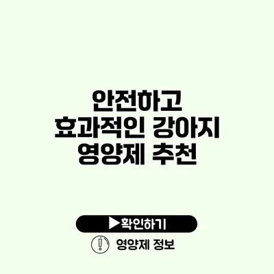 안전하고 효과적인 강아지 영양제 추천
