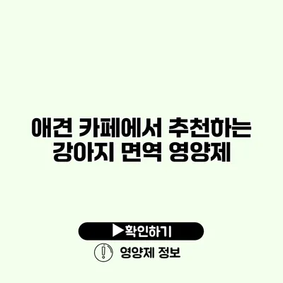 애견 카페에서 추천하는 강아지 면역 영양제 애견 카페에서 추천하는 강아지 면역 영양제