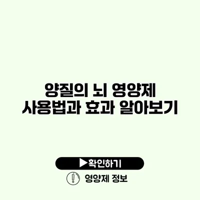 양질의 뇌 영양제 사용법과 효과 알아보기
